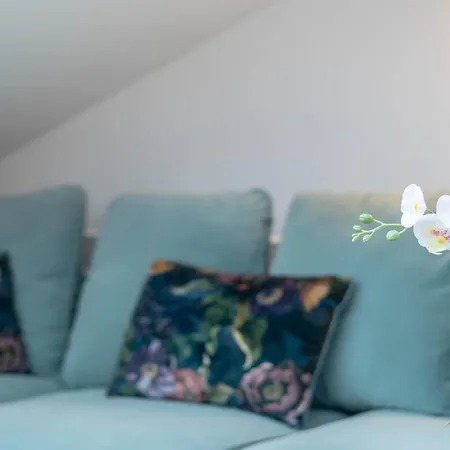 52 Piekary Appartement